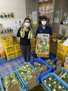 旬の夏野菜を買いに行こう！